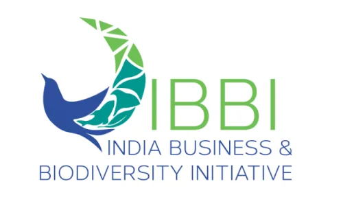 IBBI certification