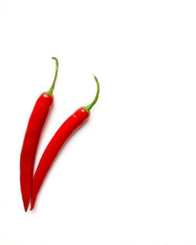 Red chillies on a white background