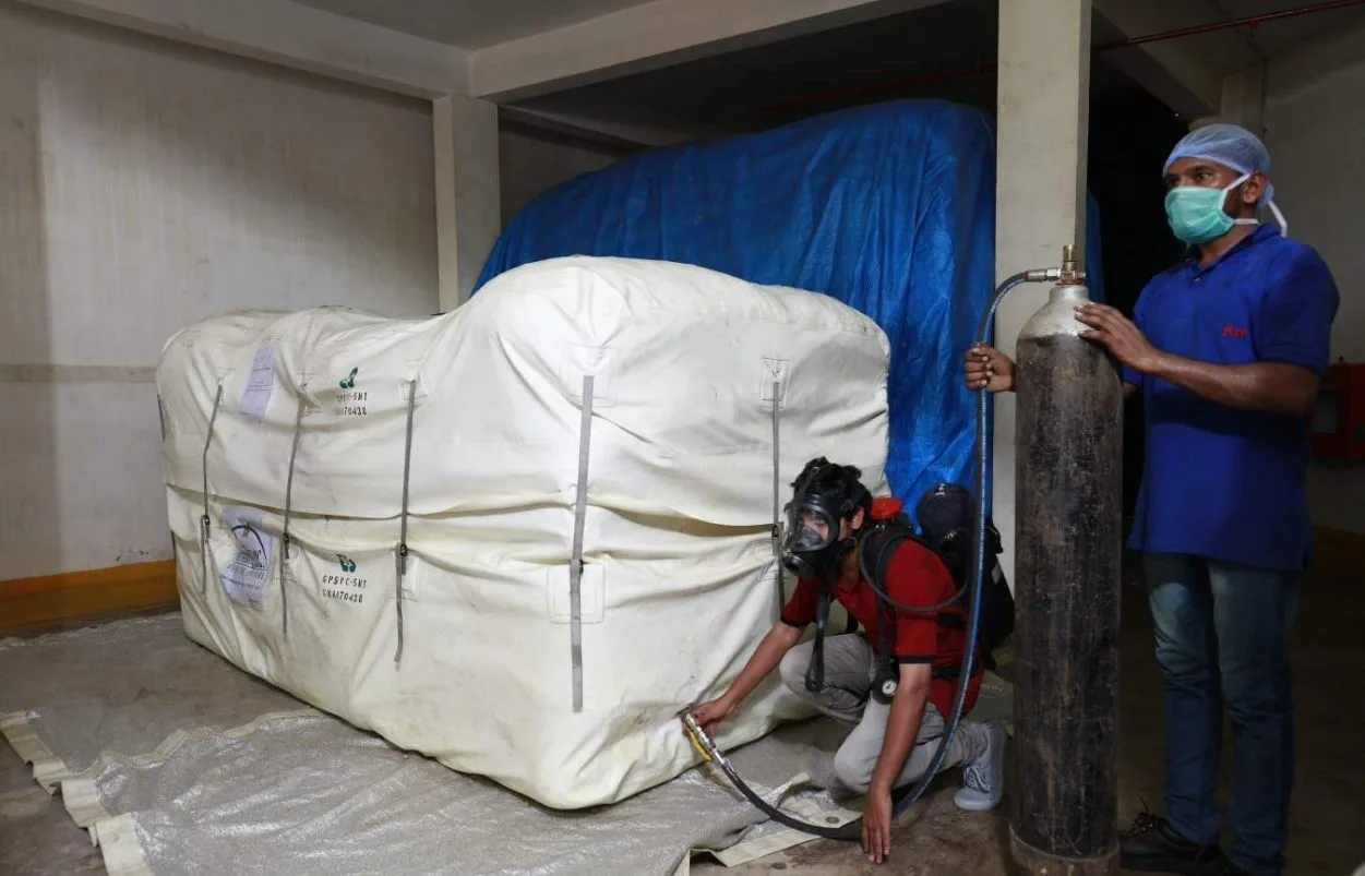 Cocoon fumigation process