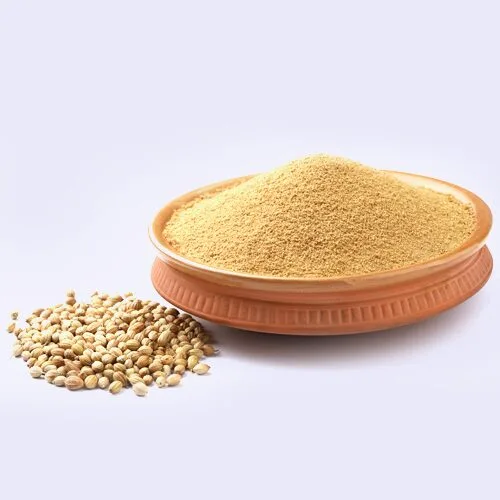 Coriander
