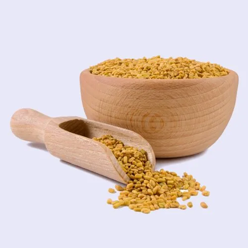 Fenugreek