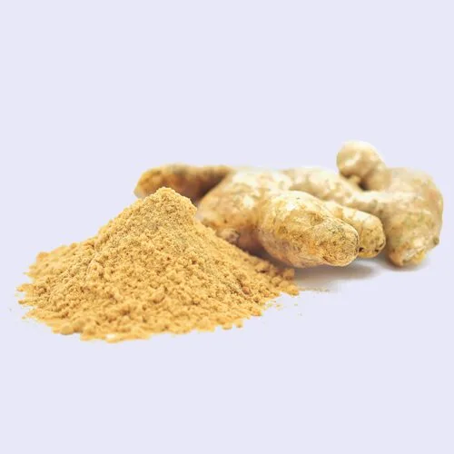 Ginger